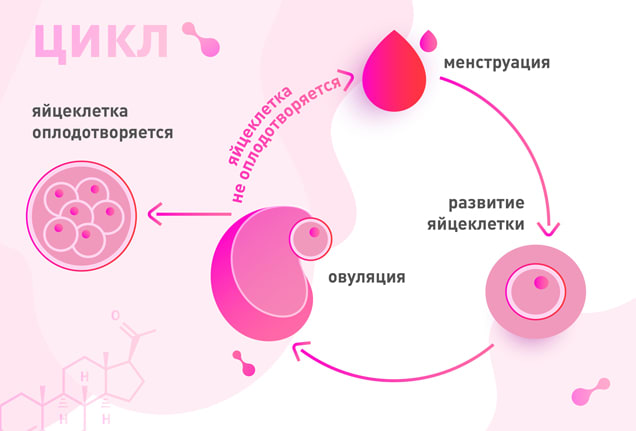 Тест на овуляцию – что это такое и как делать тест на овуляцию Тест на овуляцию – что это такое и как делать тест на овуляцию