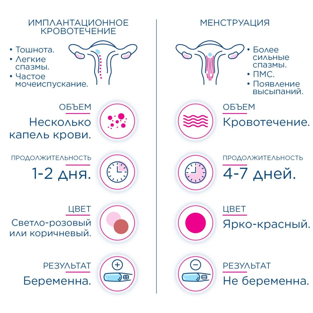 Выделения при беременности