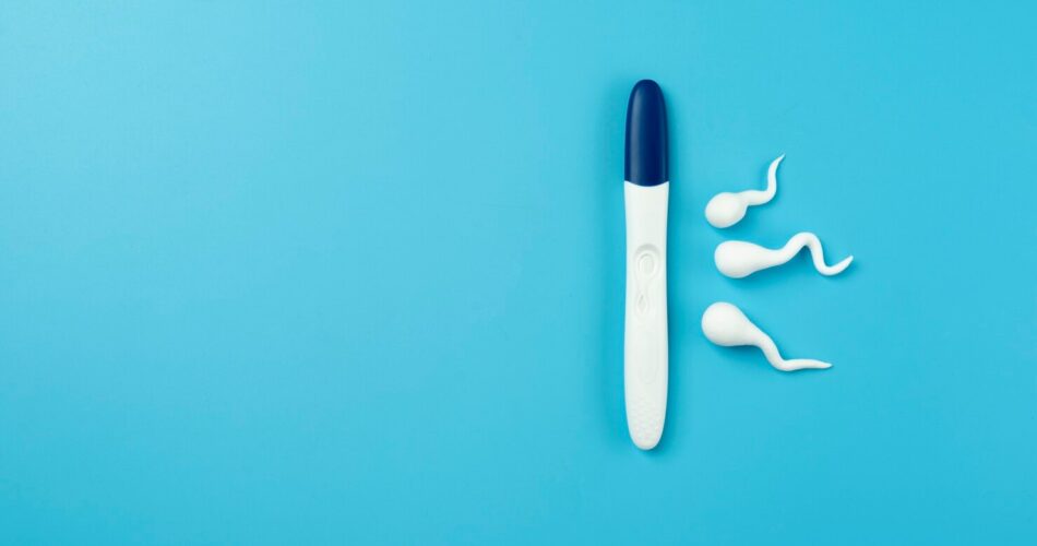 Тест на овуляцию - что это такое и как делать тест на овуляцию
