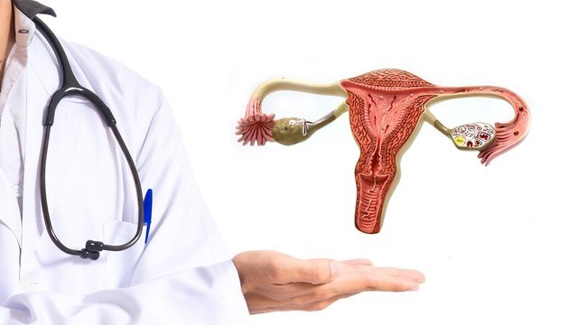 an infection in pregnancy2