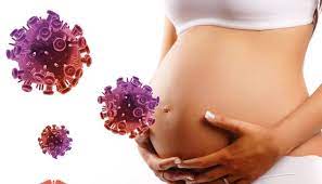 an infection in pregnancy1