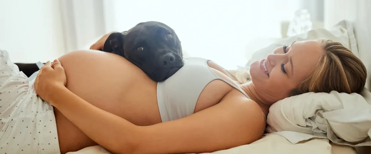 pregnant woman resting on a bed with a small dog lying against her bump