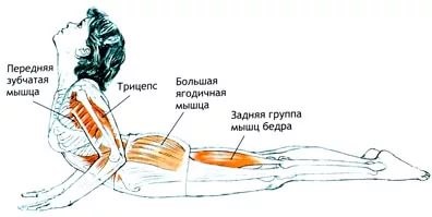 Особенности практики хатха-йоги в 1 триместре Гомукхасана